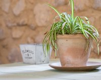 Herverkoop - Others - Castalla