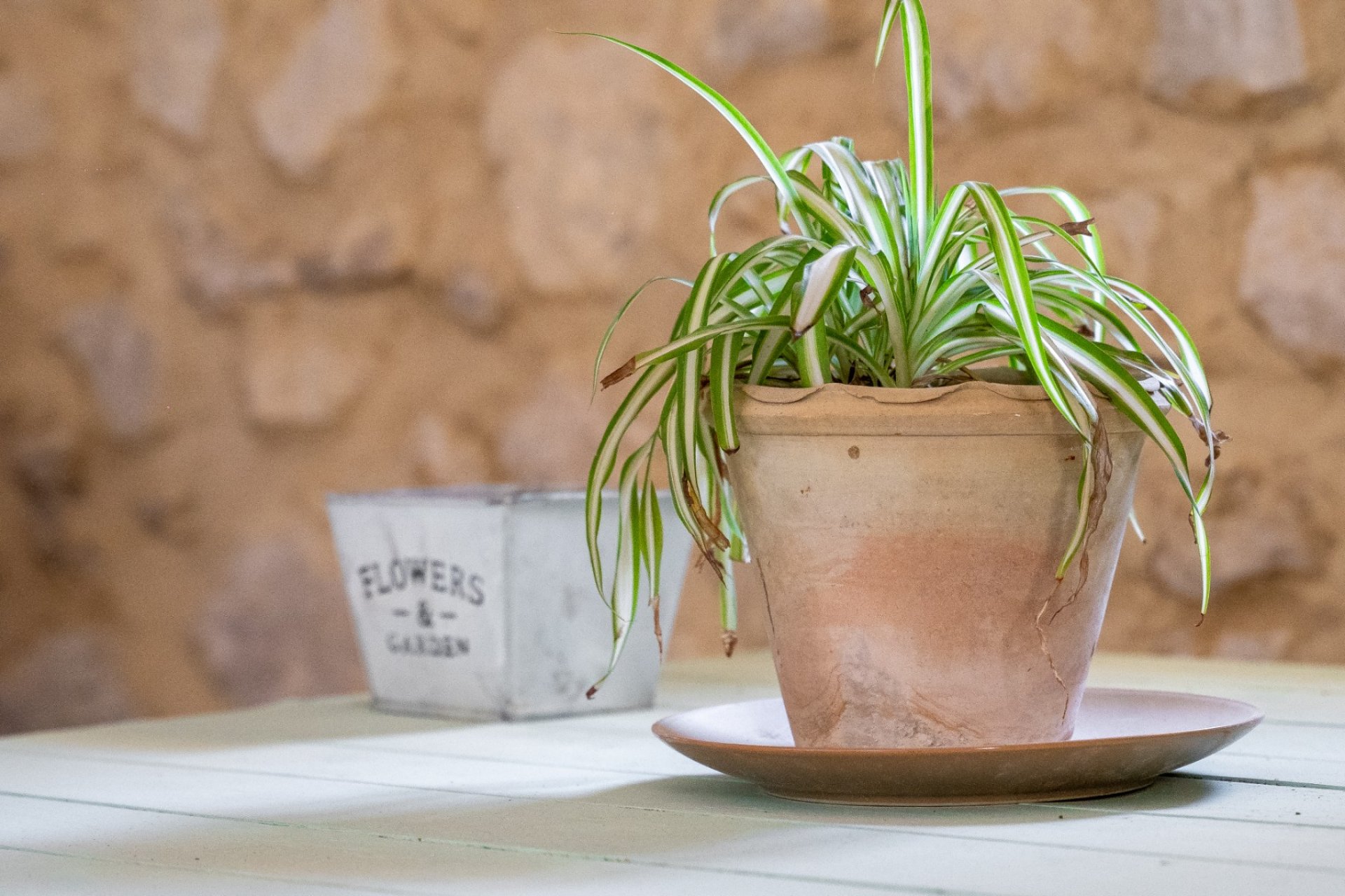 Herverkoop - Others - Castalla