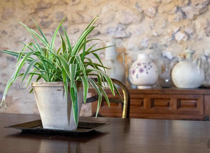 Herverkoop - Others - Castalla