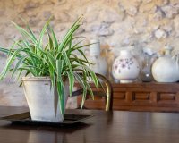 Herverkoop - Others - Castalla