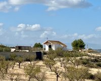 Herverkoop - Perceel / Grond - BULLAS - Costa Calida