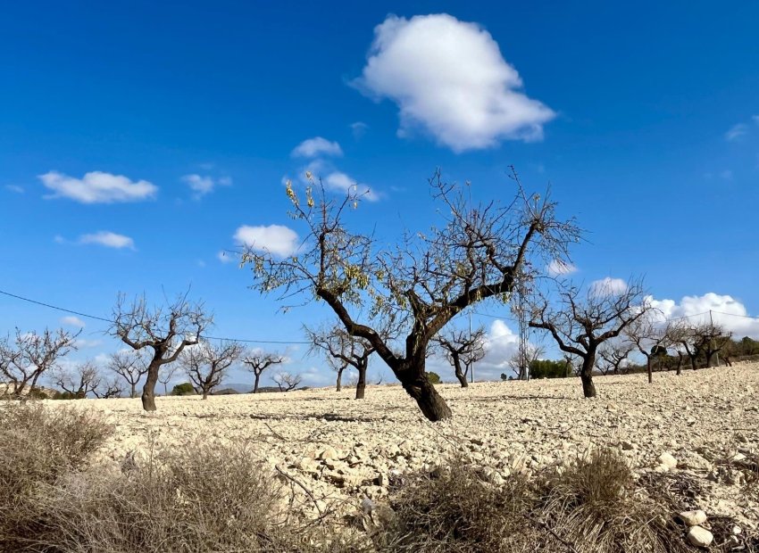 Herverkoop - Perceel / Grond - BULLAS - Costa Calida