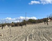 Herverkoop - Perceel / Grond - BULLAS - Costa Calida