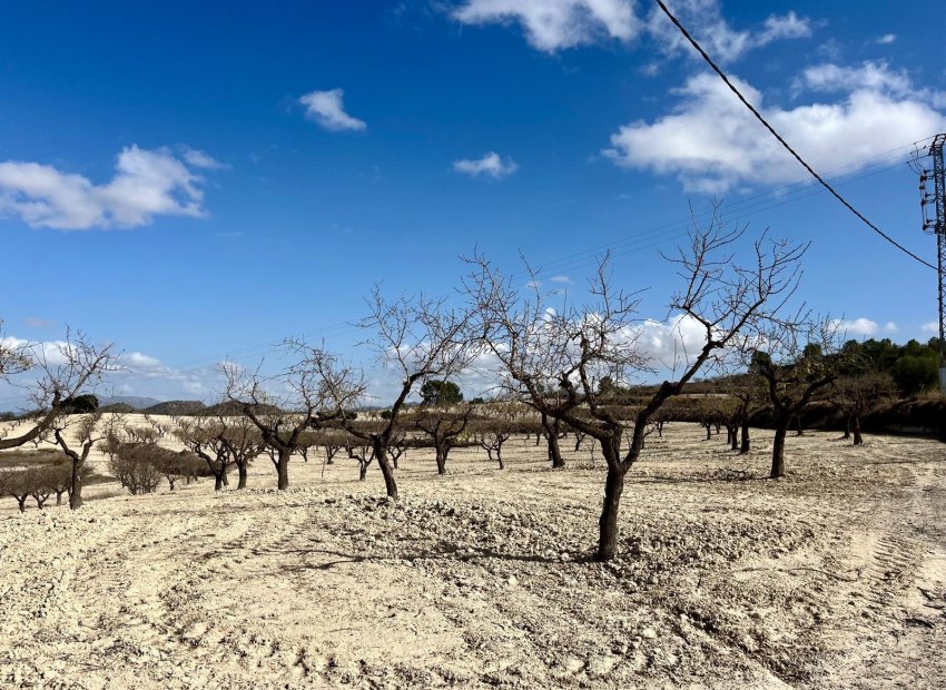 Herverkoop - Perceel / Grond - BULLAS - Costa Calida