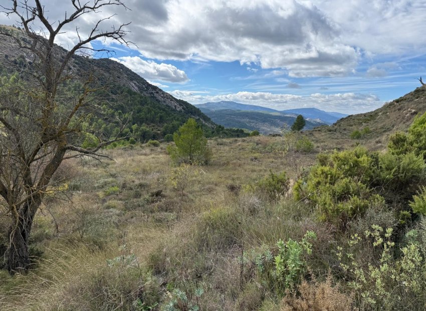 Herverkoop - Perceel / Grond - Confrides - Barranc de Xarquera