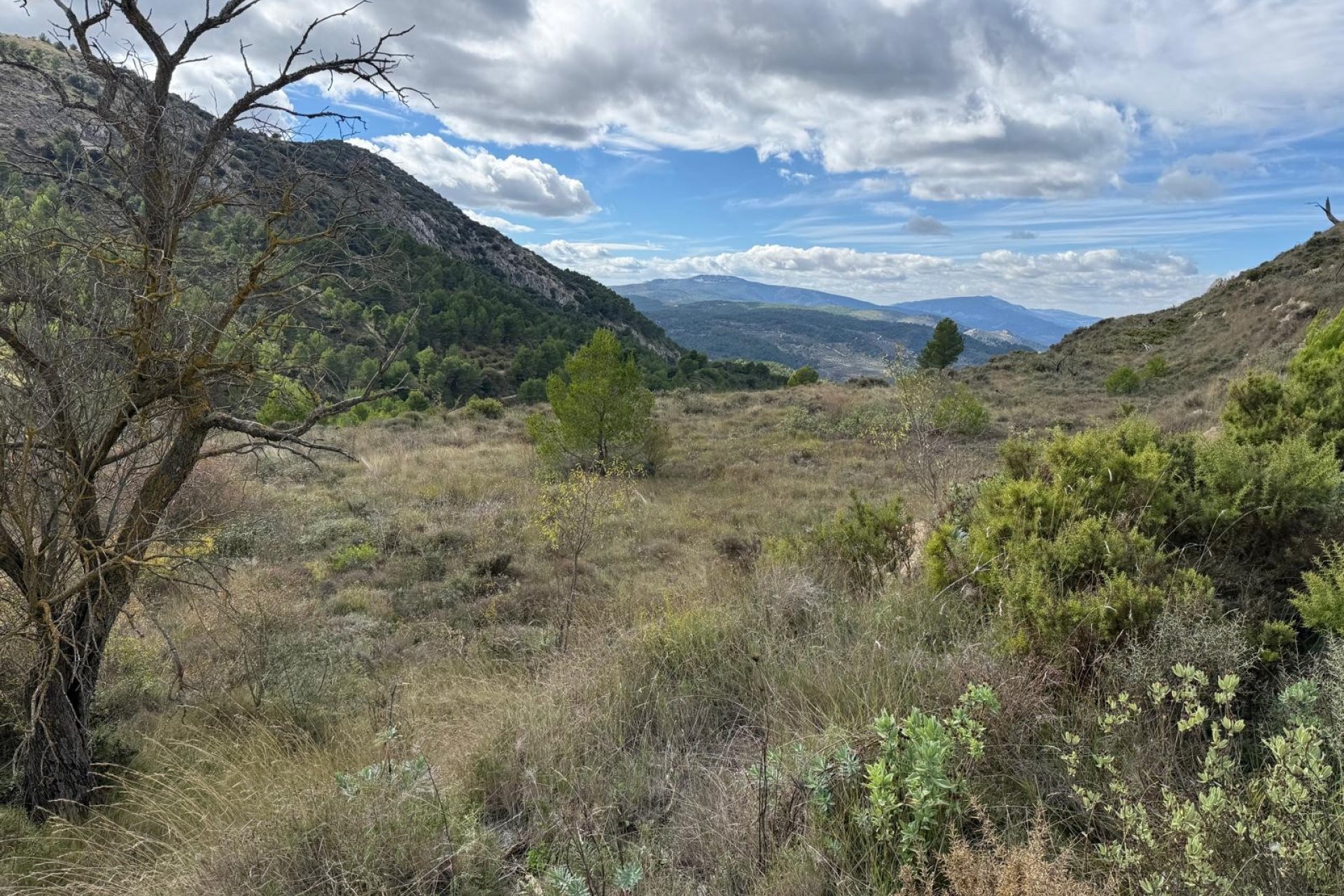 Herverkoop - Perceel / Grond - Confrides - Barranc de Xarquera