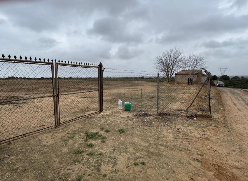 Herverkoop - Perceel / Grond - Elche - La Marina