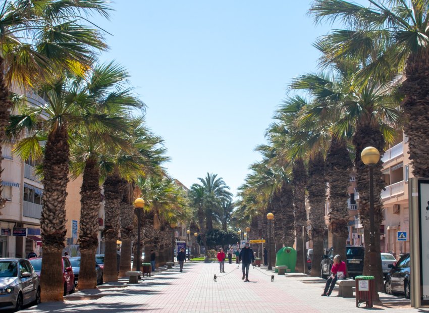 Herverkoop - Perceel / Grond - Guardamar del Segura - Pueblo