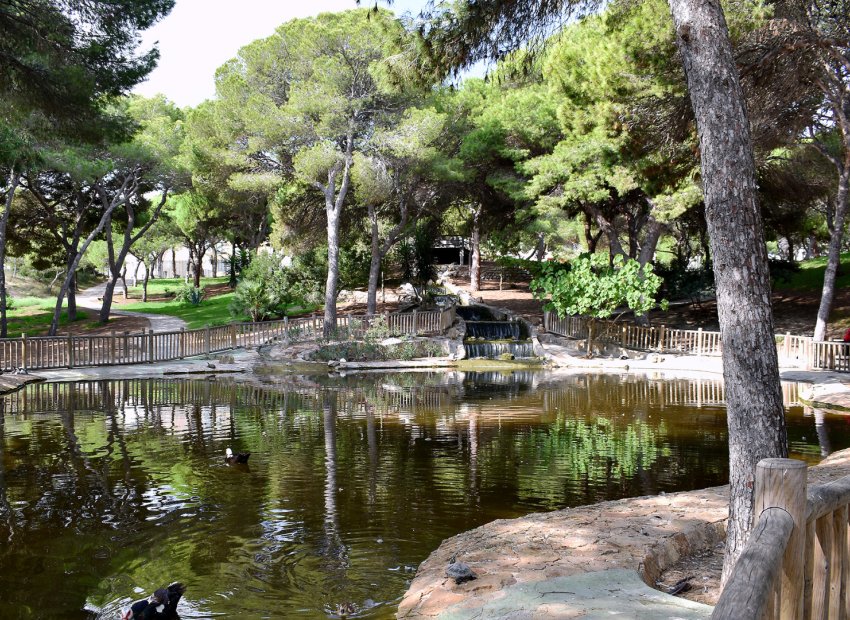 Herverkoop - Perceel / Grond - Guardamar del Segura