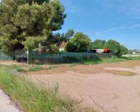 Herverkoop - Perceel / Grond - Guardamar del Segura