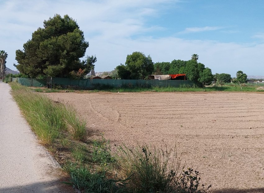 Herverkoop - Perceel / Grond - Guardamar del Segura
