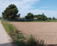 Herverkoop - Perceel / Grond - Guardamar del Segura