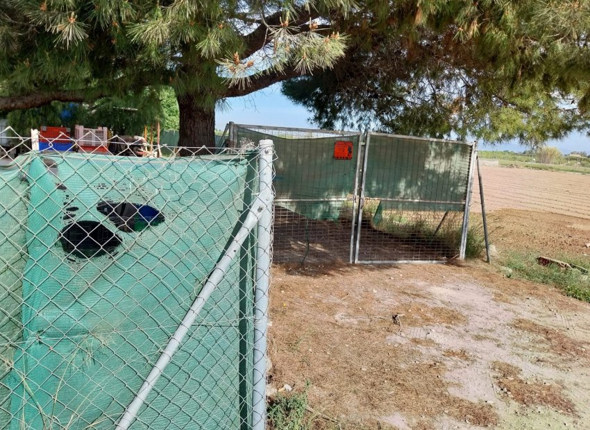 Herverkoop - Perceel / Grond - Guardamar del Segura