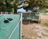 Herverkoop - Perceel / Grond - Guardamar del Segura