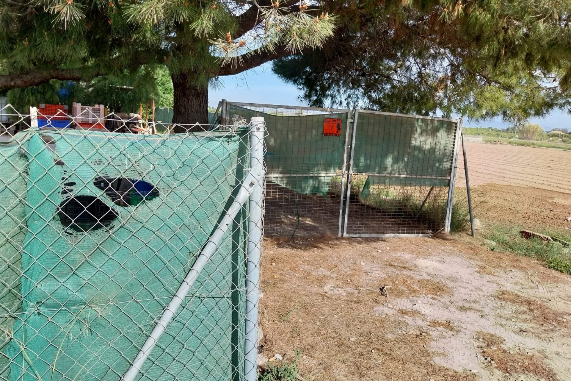 Herverkoop - Perceel / Grond - Guardamar del Segura