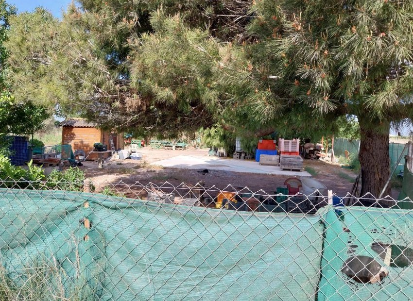 Herverkoop - Perceel / Grond - Guardamar del Segura