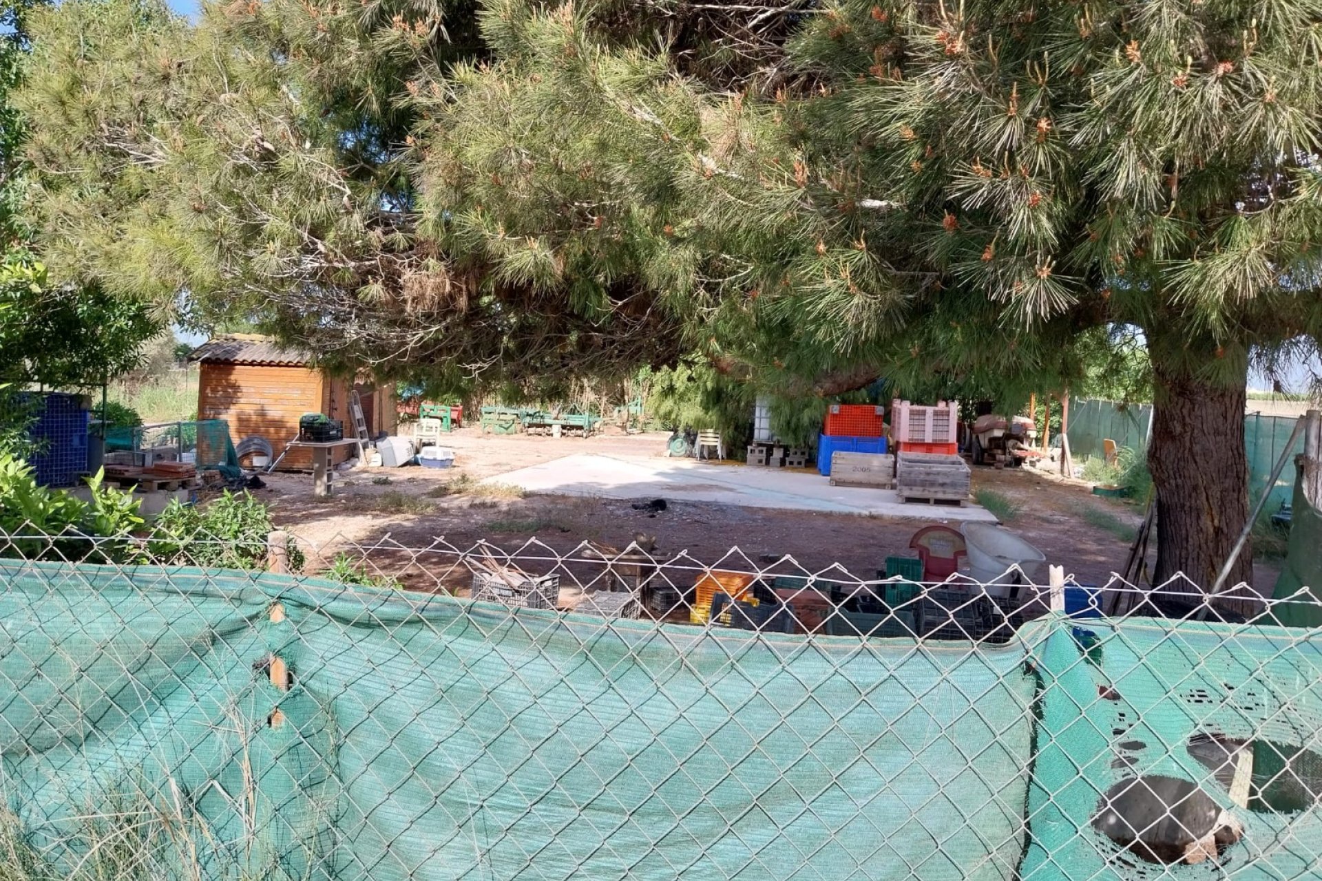 Herverkoop - Perceel / Grond - Guardamar del Segura