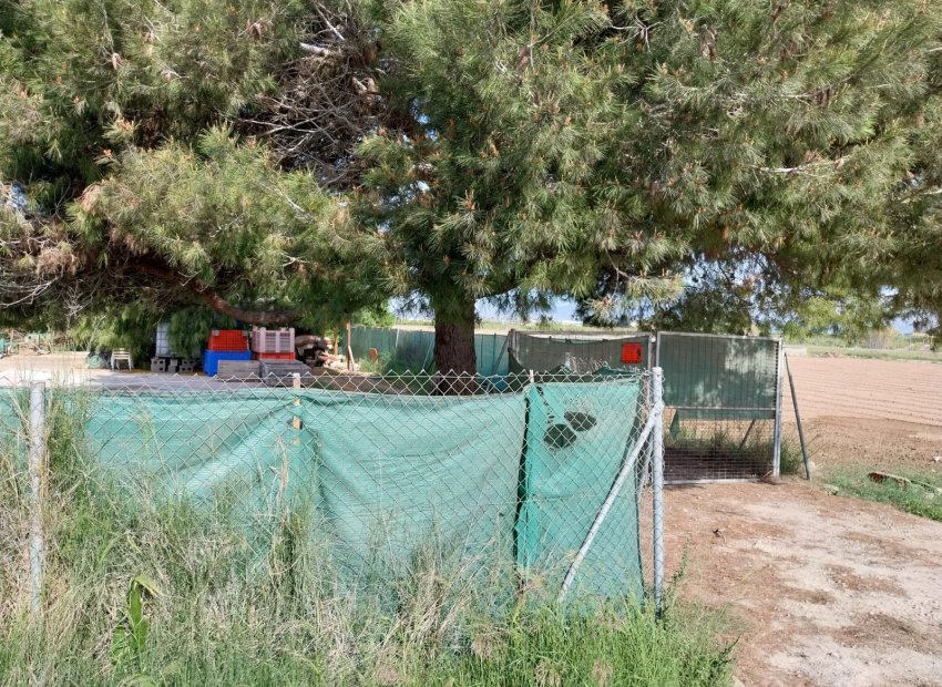 Herverkoop - Perceel / Grond - Guardamar del Segura