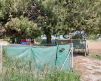 Herverkoop - Perceel / Grond - Guardamar del Segura