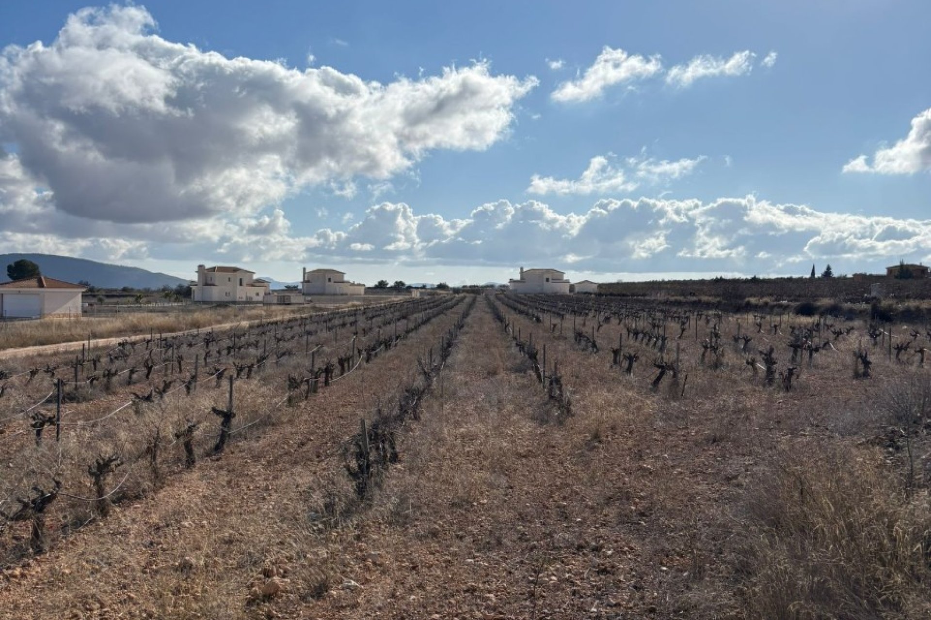 Herverkoop - Perceel / Grond - Pinoso - el Pinós / Pinoso