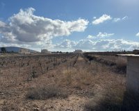 Herverkoop - Perceel / Grond - Pinoso - el Pinós / Pinoso