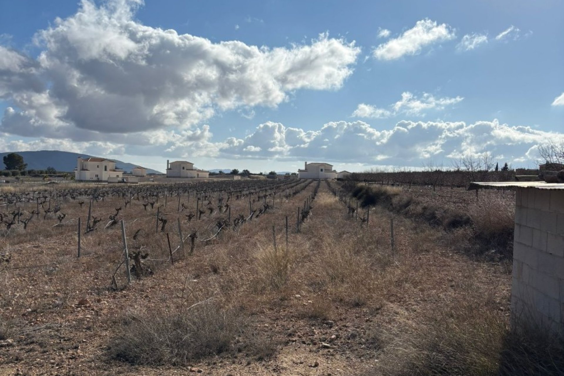 Herverkoop - Perceel / Grond - Pinoso - el Pinós / Pinoso
