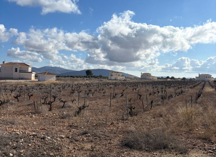 Herverkoop - Perceel / Grond - Pinoso - el Pinós / Pinoso