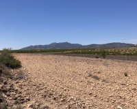 Herverkoop - Perceel / Grond - Pinoso - Lel