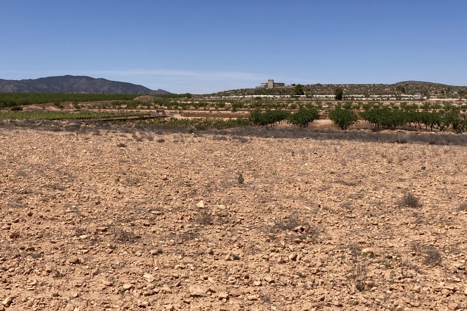 Herverkoop - Perceel / Grond - Pinoso - Lel