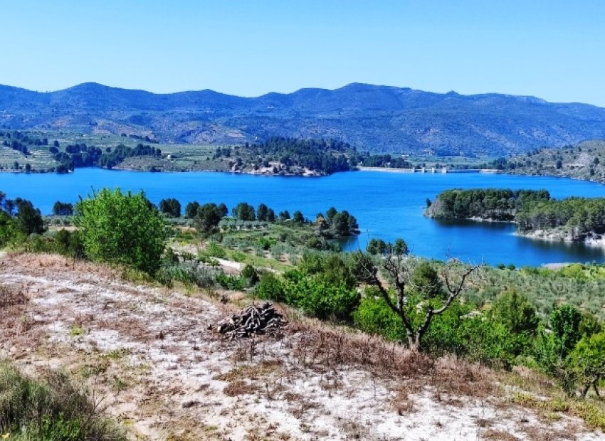 Herverkoop - Perceel / Grond - Planes