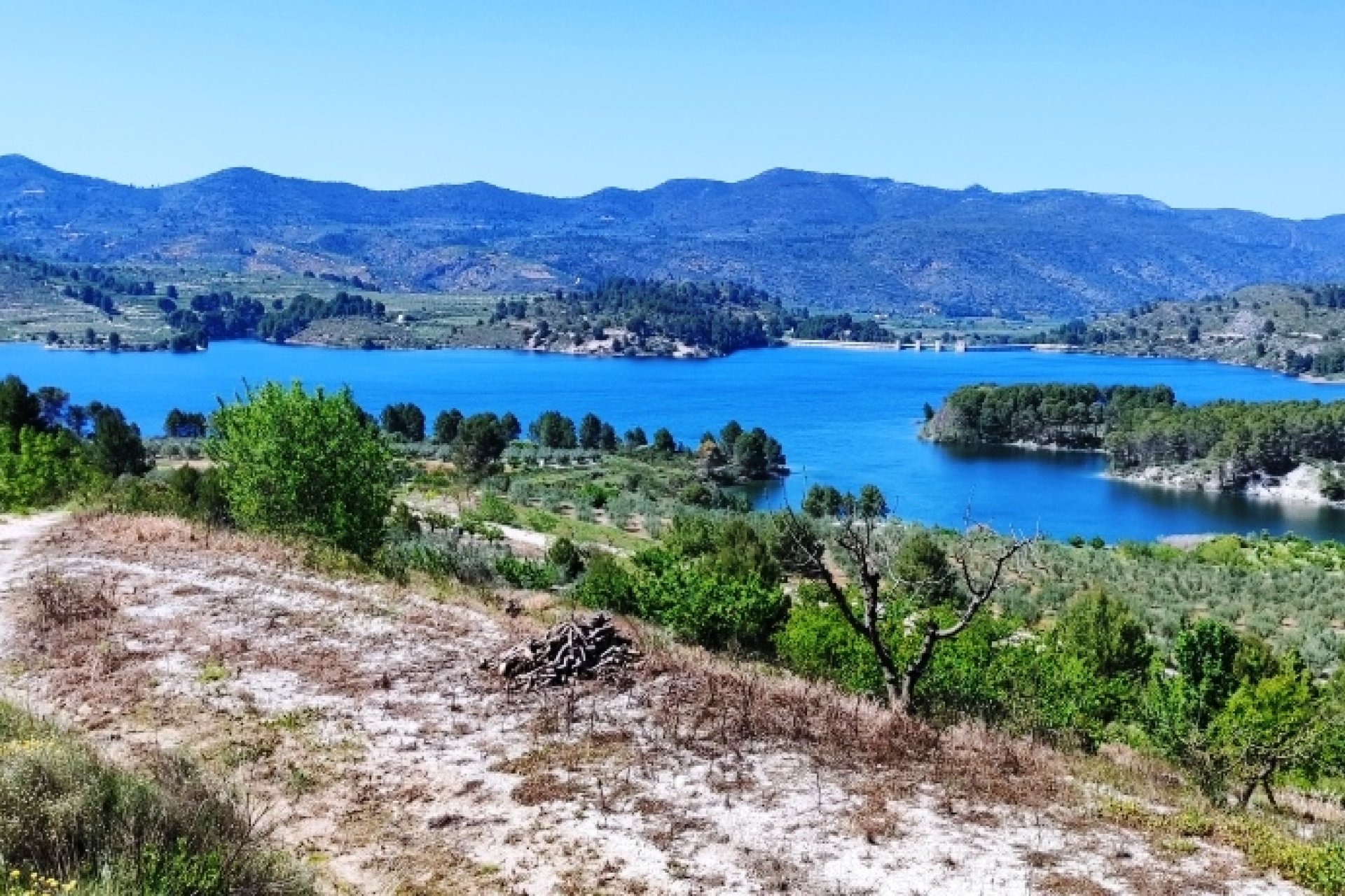 Herverkoop - Perceel / Grond - Planes