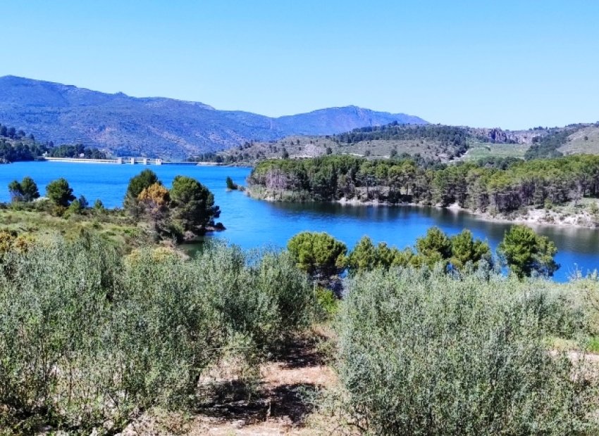 Herverkoop - Perceel / Grond - Planes