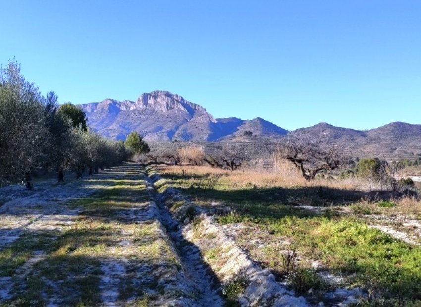 Herverkoop - Perceel / Grond - Planes