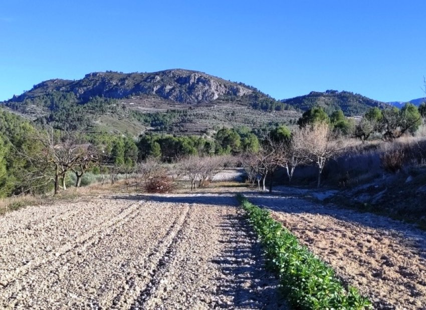 Herverkoop - Perceel / Grond - Planes