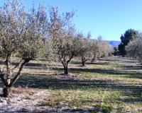 Herverkoop - Perceel / Grond - Planes