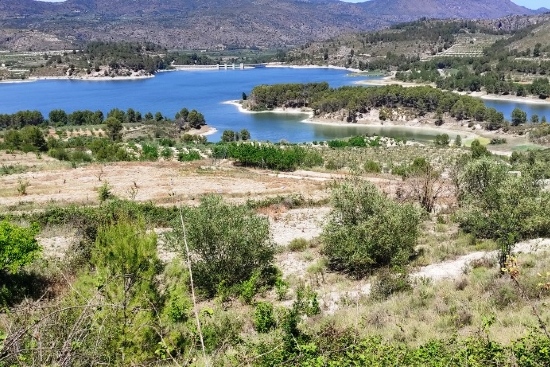 Herverkoop - Perceel / Grond - Planes