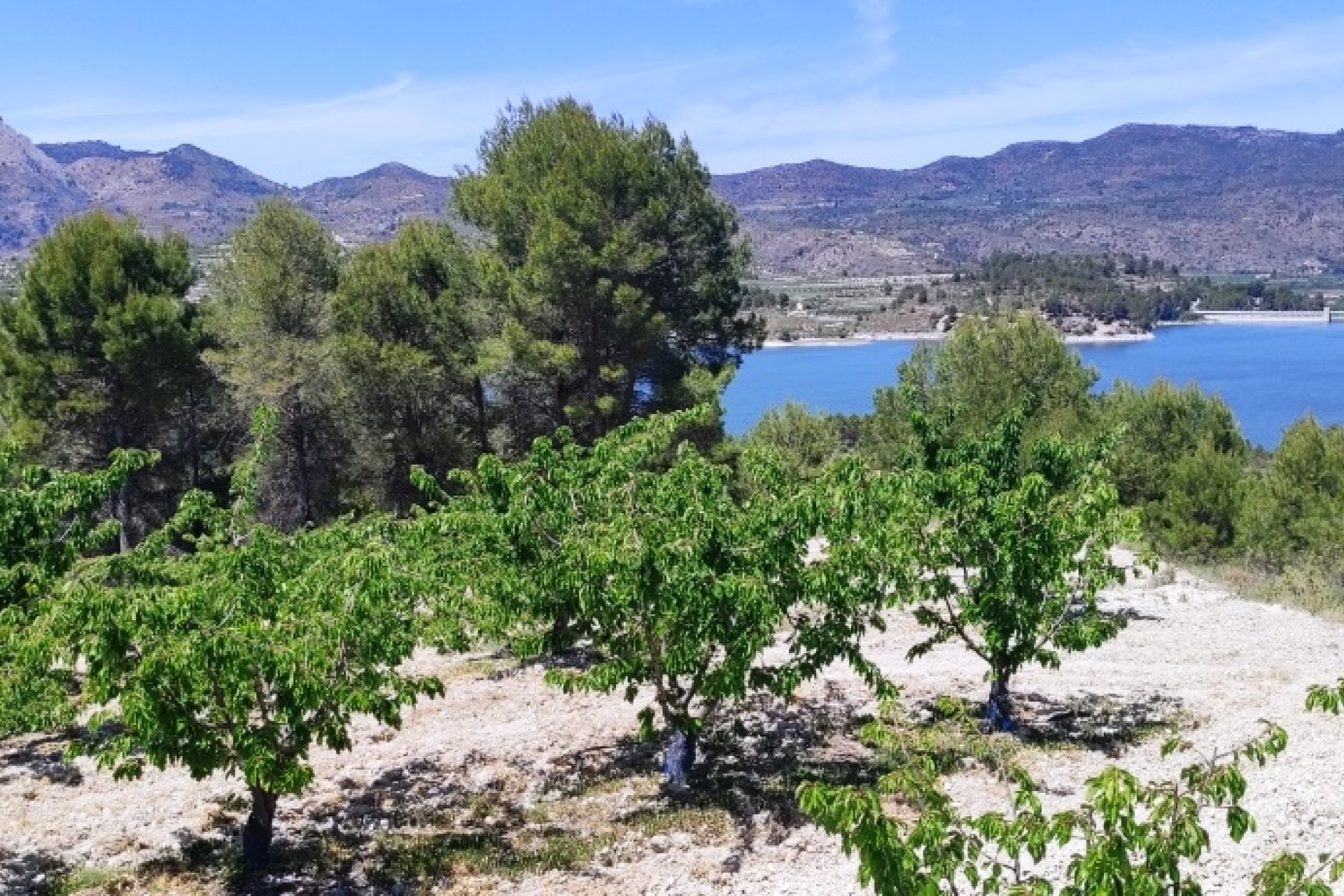 Herverkoop - Perceel / Grond - Planes