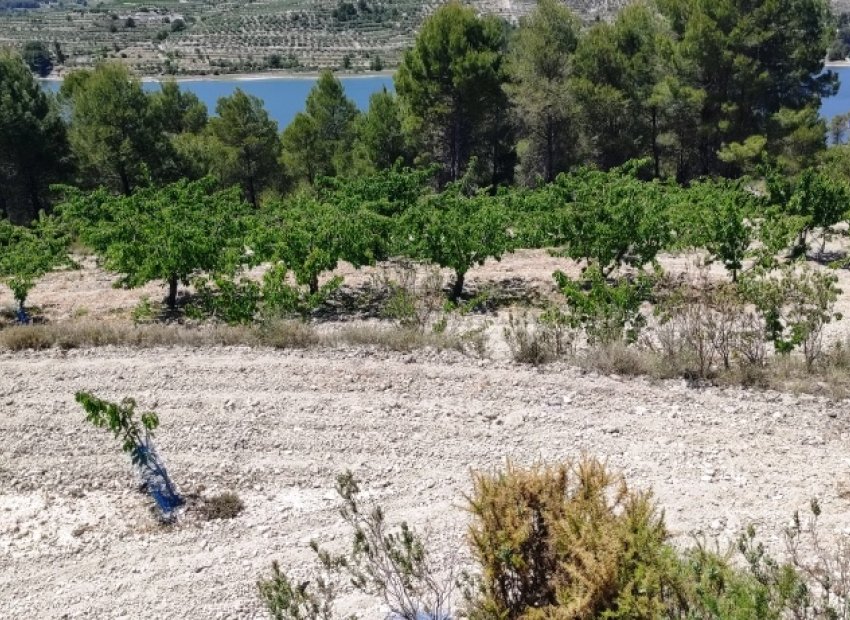 Herverkoop - Perceel / Grond - Planes