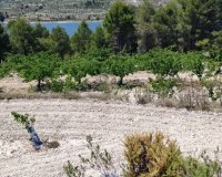 Herverkoop - Perceel / Grond - Planes