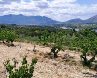 Herverkoop - Perceel / Grond - Planes