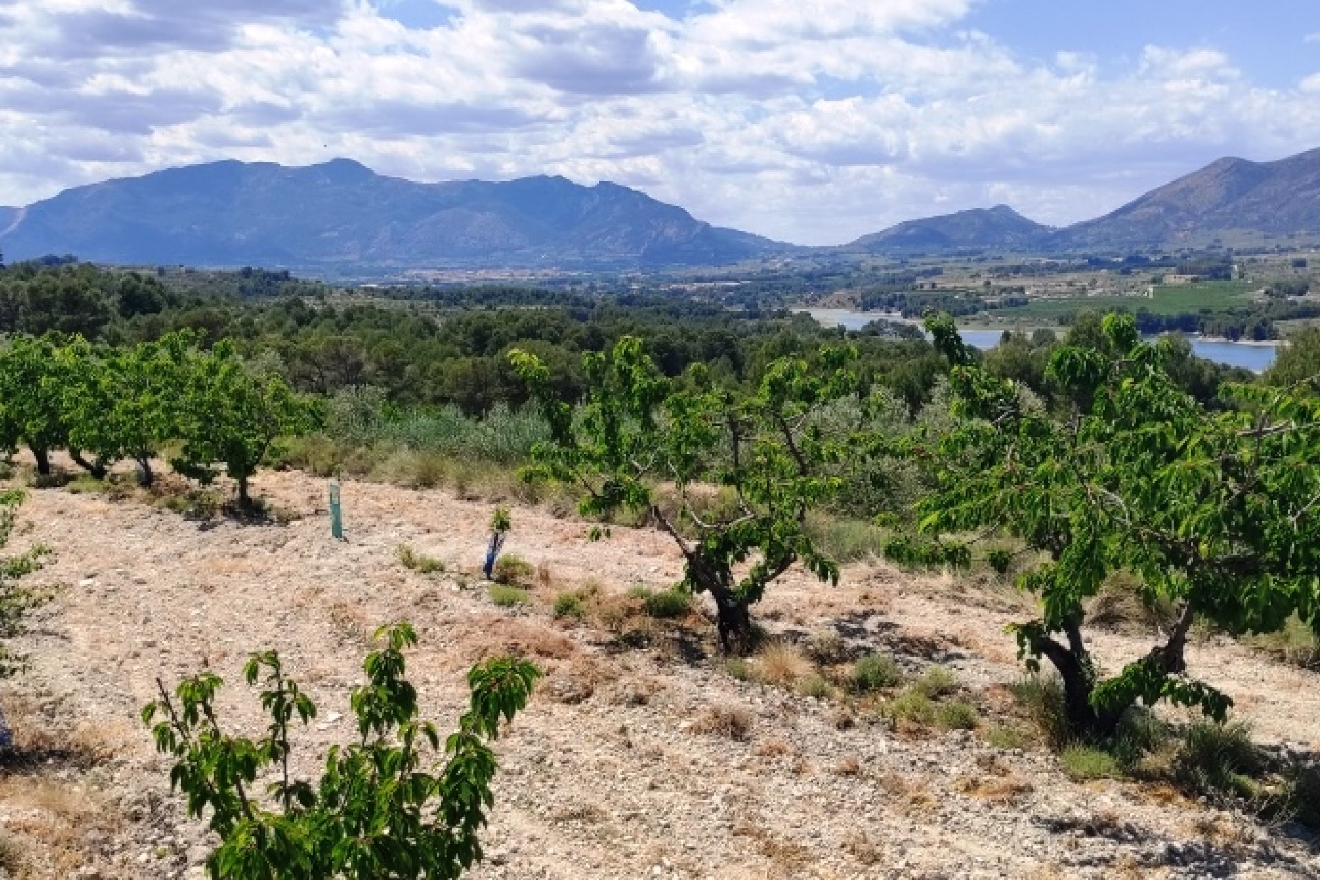 Herverkoop - Perceel / Grond - Planes