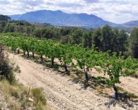 Herverkoop - Perceel / Grond - Planes