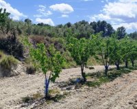 Herverkoop - Perceel / Grond - Planes