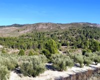 Herverkoop - Perceel / Grond - Planes