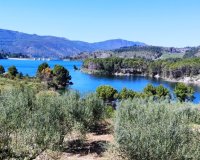 Herverkoop - Perceel / Grond - Planes