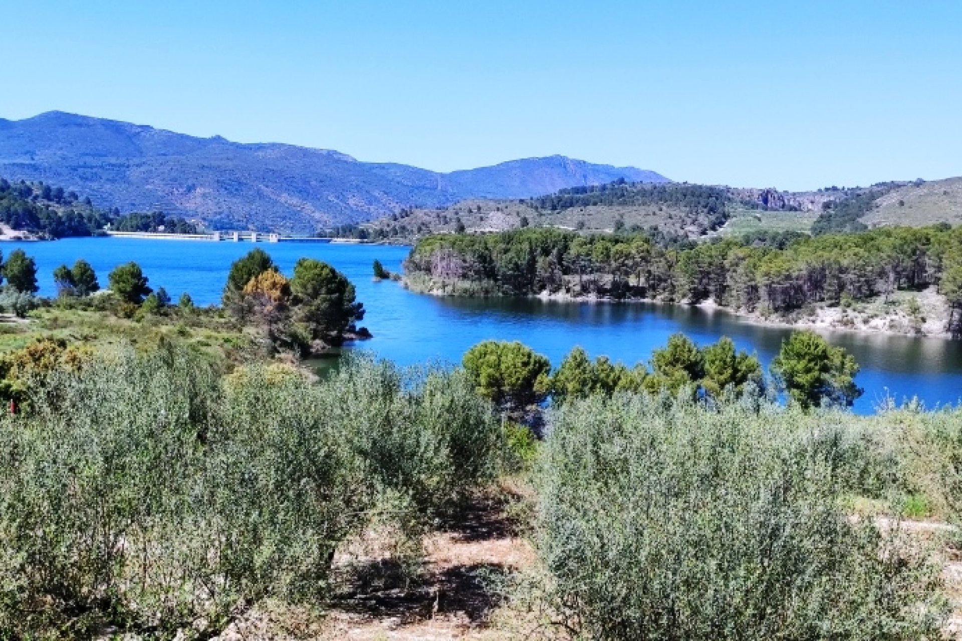 Herverkoop - Perceel / Grond - Planes