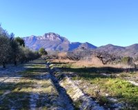 Herverkoop - Perceel / Grond - Planes