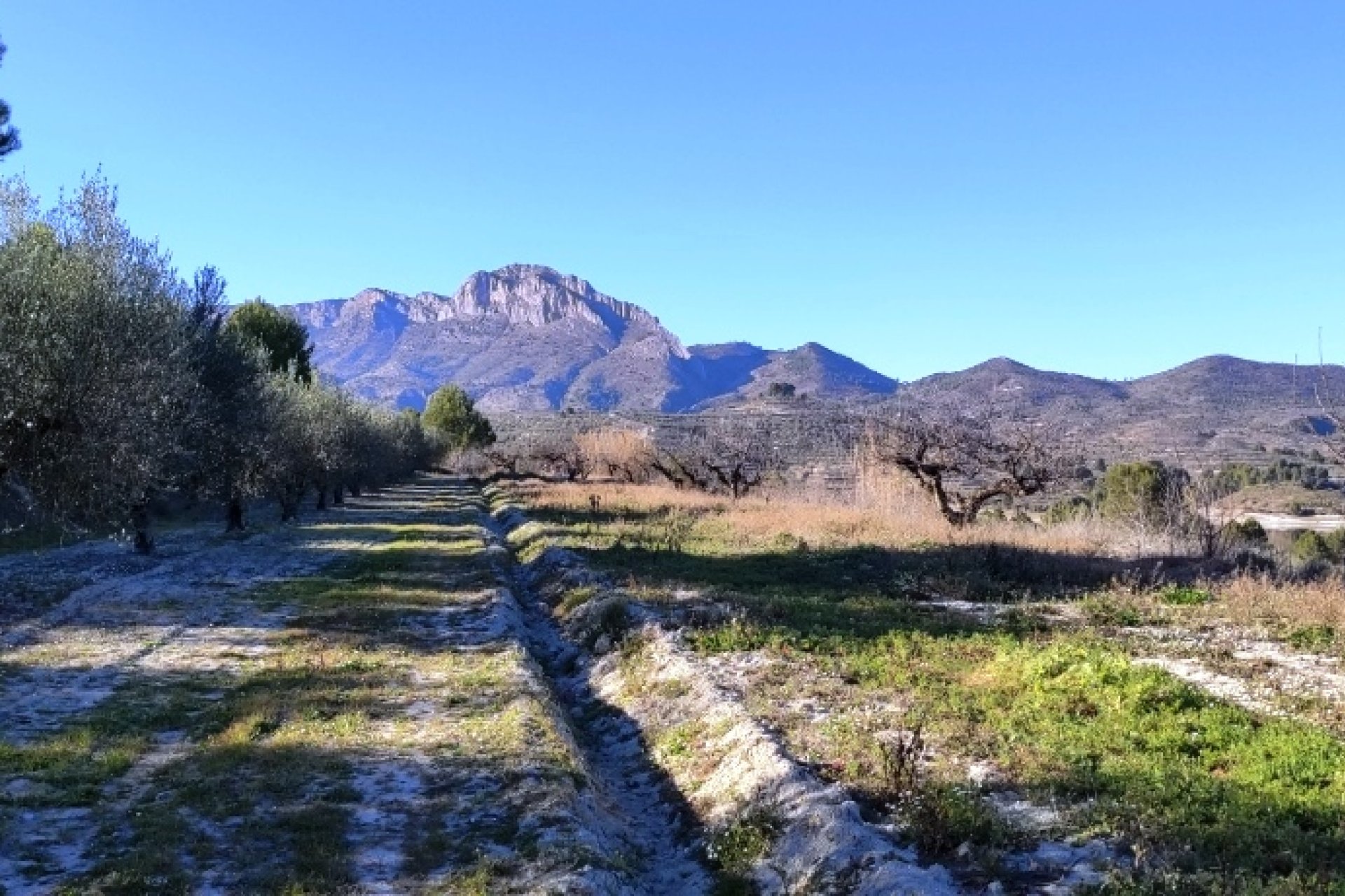 Herverkoop - Perceel / Grond - Planes