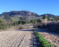 Herverkoop - Perceel / Grond - Planes