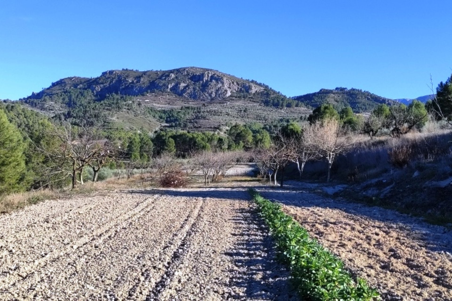 Herverkoop - Perceel / Grond - Planes